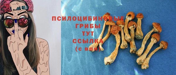прущий лед Наволоки