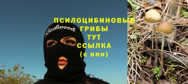 МДПВ Навашино