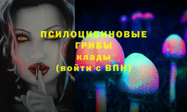 apvp Надым
