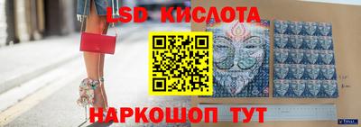 дмт Аргун