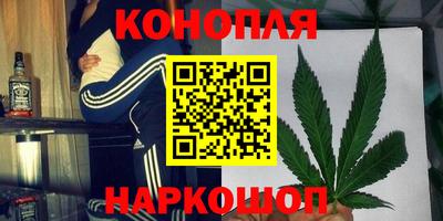 дмт Аргун
