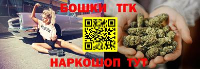 дмт Аргун