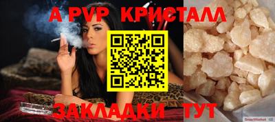 дмт Аргун