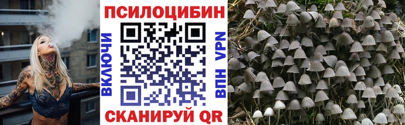 нарко площадка как зайти  Красноперекопск  Псилоцибиновые грибы MAGIC MUSHROOMS 
