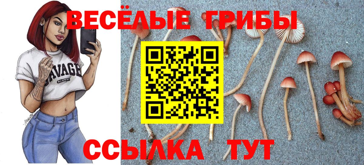 Галлюциногенные грибы GOLDEN TEACHER Красноперекопск
