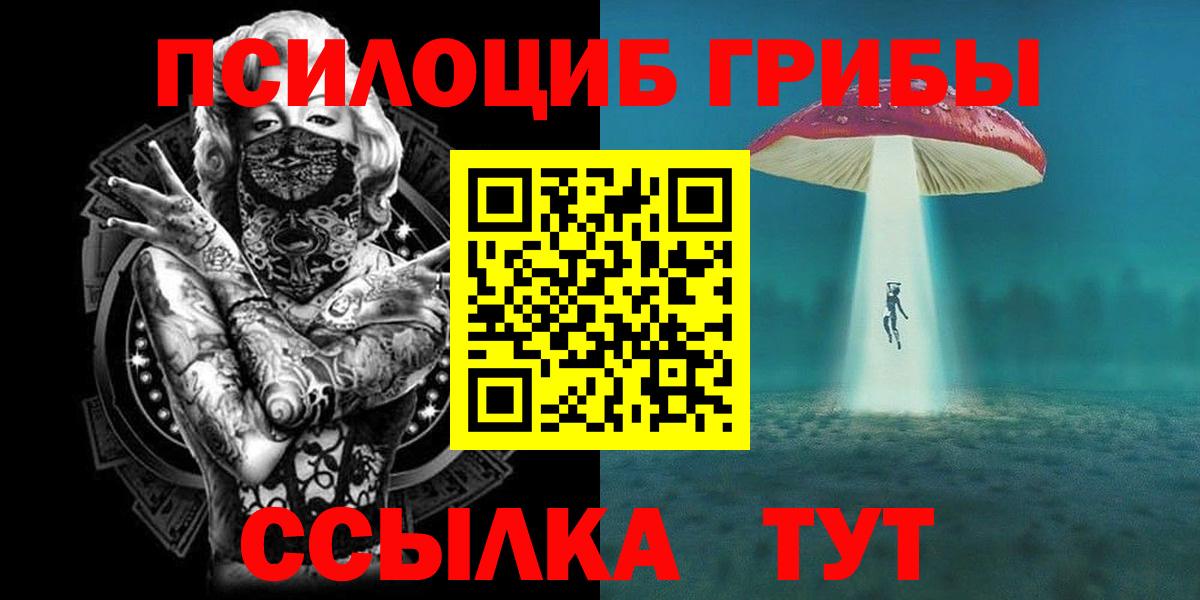 Псилоцибиновые грибы Magic Shrooms  Галлюциногенные грибы Psilocybine cubensis  Красноперекопск  Вход с VPN 